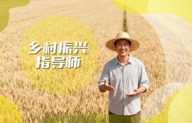 乡村振兴指导师